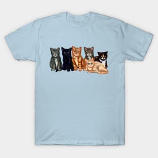 Cute Fuzzy Baby Kittens T-Shirt